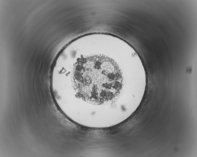 X0000111370950200907241242