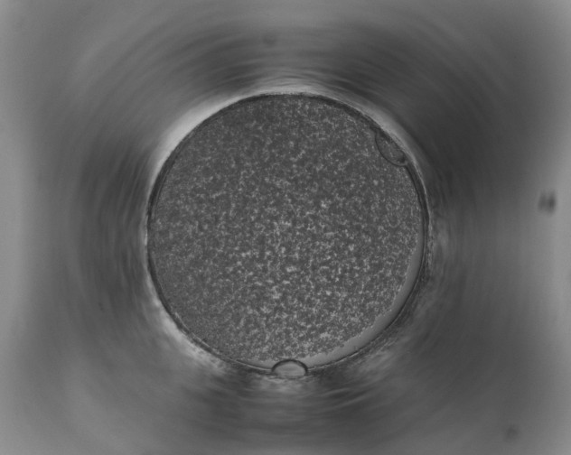 X0000111370951200907241242