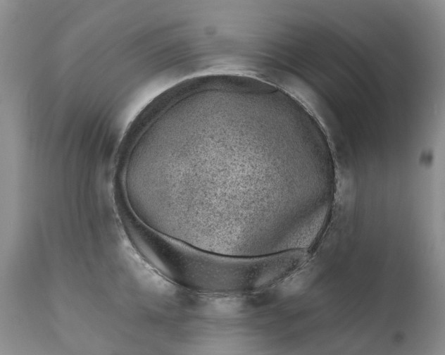 X0000111370952200907241242