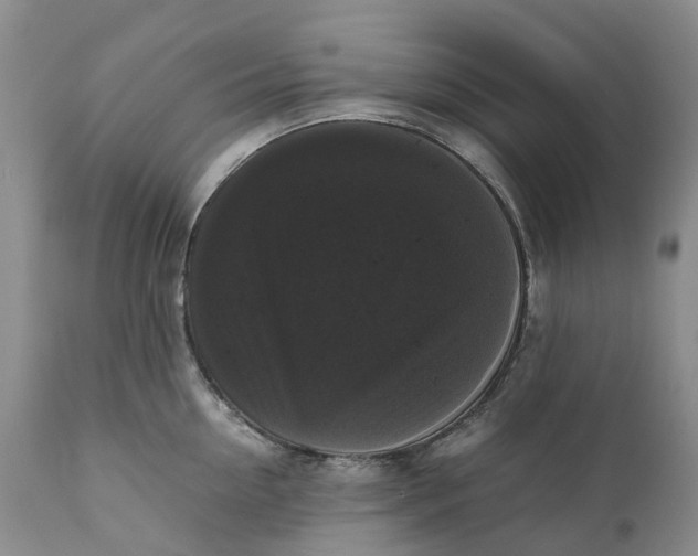 X0000111370954200907241243