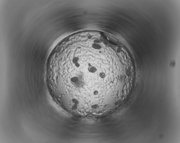 X0000111370955200907241243