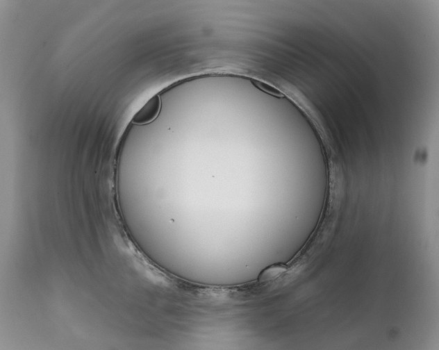 X0000111370956200907241243