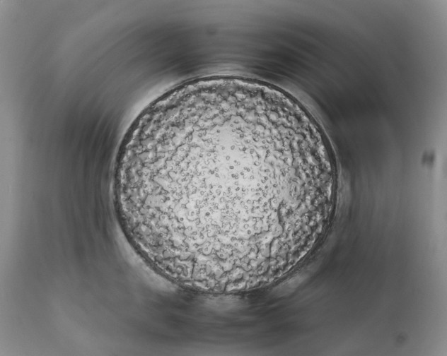 X0000111370957200907241243