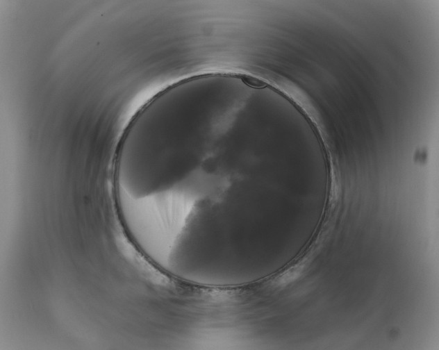 X0000111370958200907241243