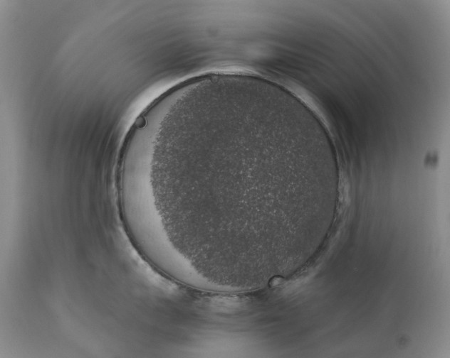 X0000111370959200907241243