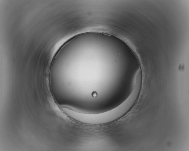 X0000111370960200907241243