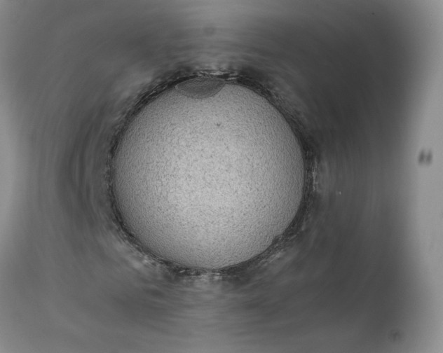 X0000111370961200907241242