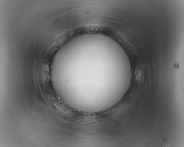 X0000111370964200907241242