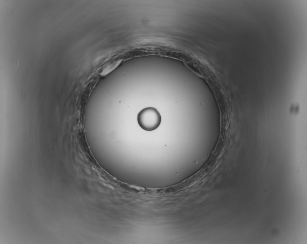 X0000111370965200907241242