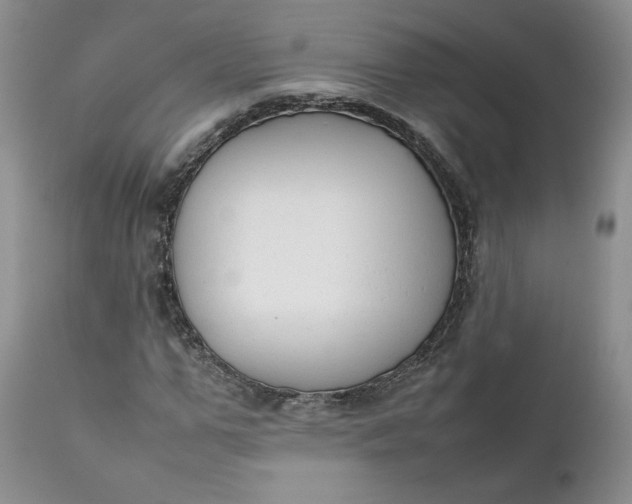 X0000111370967200907241242