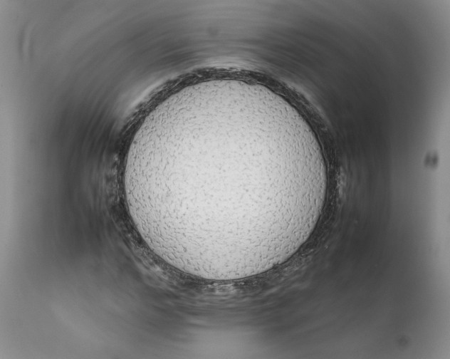 X0000111370968200907241242