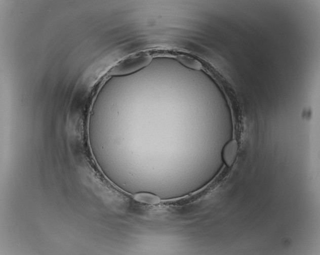 X0000111370969200907241242