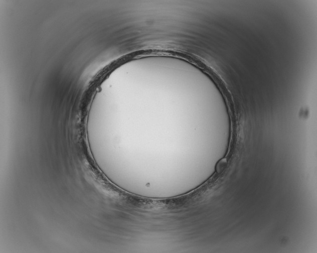 X0000111370971200907241242