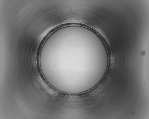 X0000111370972200907241242