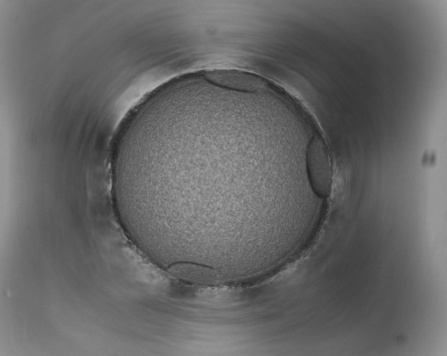 X0000111370973200907241242