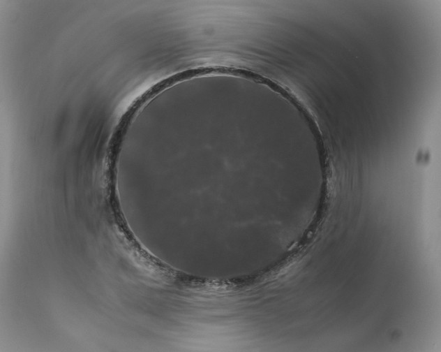 X0000111370975200907241242