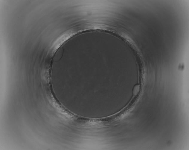 X0000111370977200907241242