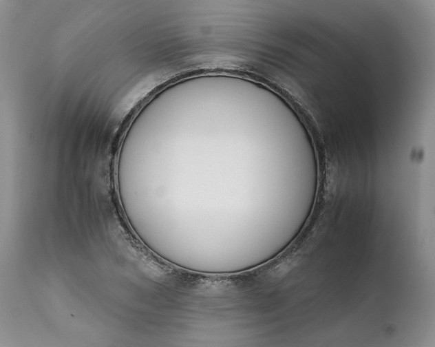 X0000111370978200907241242