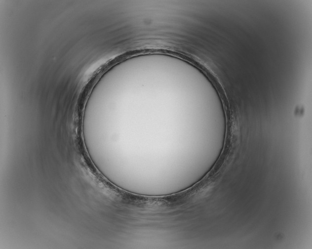 X0000111370979200907241242