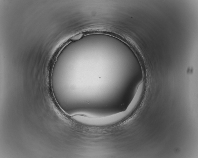 X0000111370981200907241241