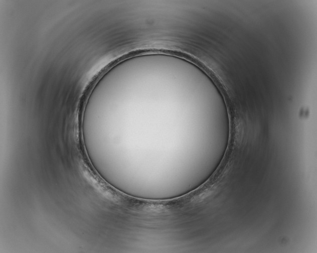 X0000111370982200907241241