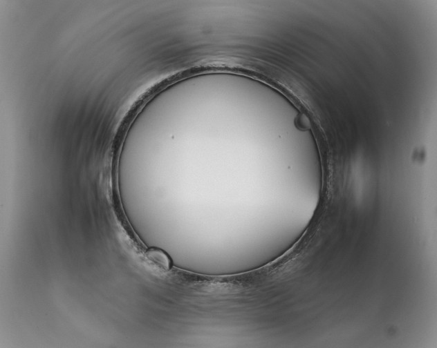 X0000111370984200907241241