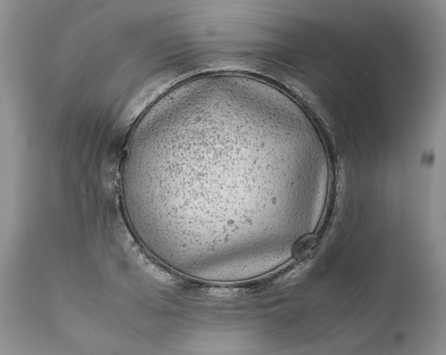 X0000111370985200907241241