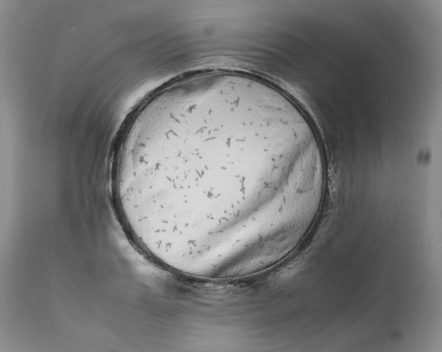 X0000111370987200907241241