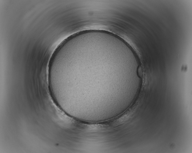 X0000111370988200907241241