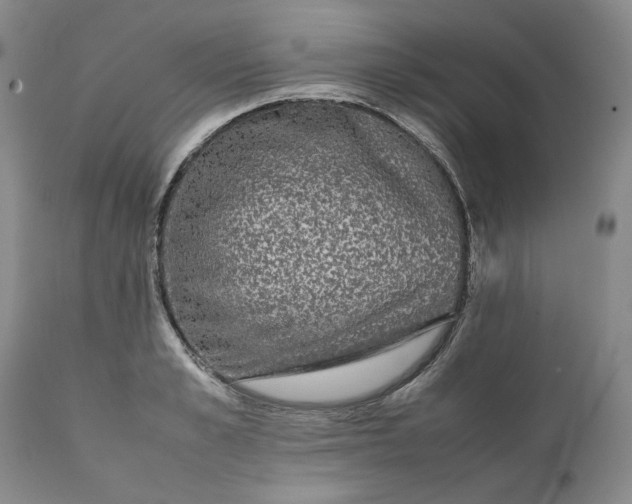 X0000111370989200907241241