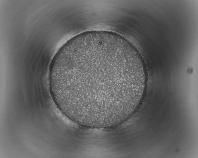 X0000111370990200907241241