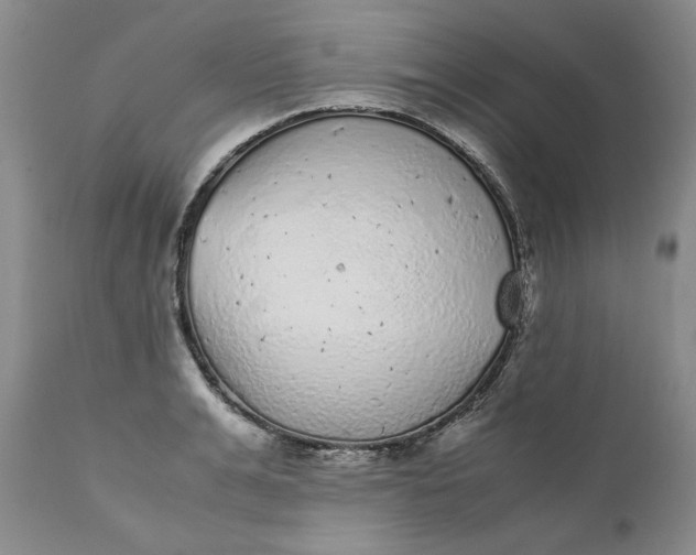 X0000111370991200907241241