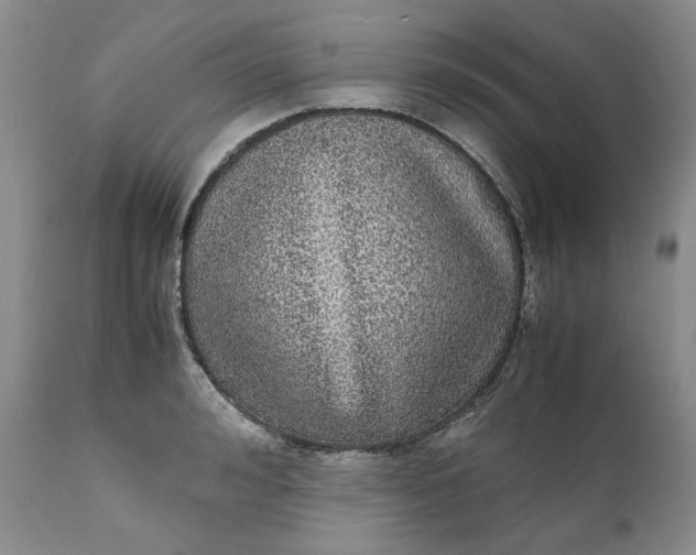 X0000111370992200907241241