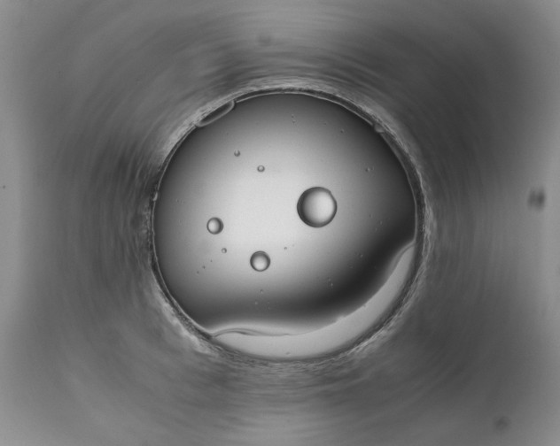 X0000111370993200907241241