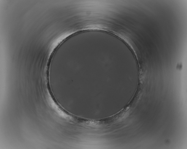 X0000111370995200907241241