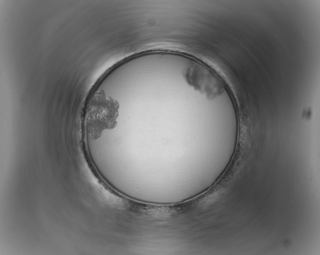 X0000111370999200907241241