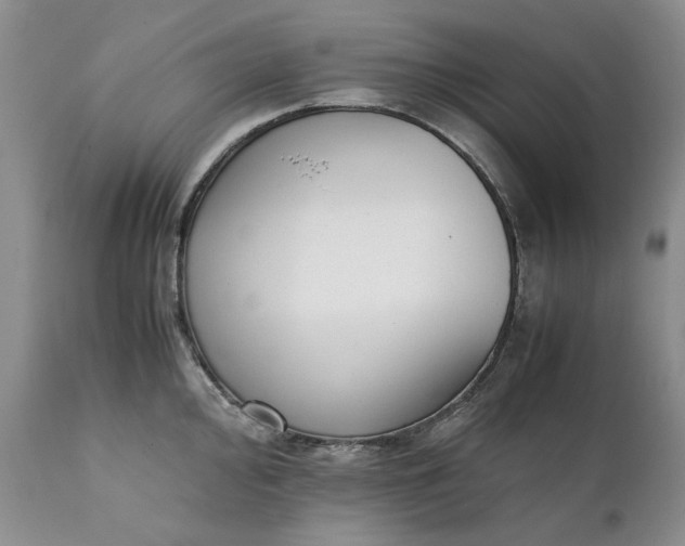 X0000111371000200907241241