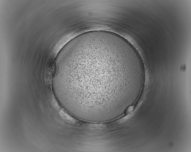 X0000111371001200907241241