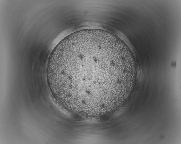 X0000111371002200907241241