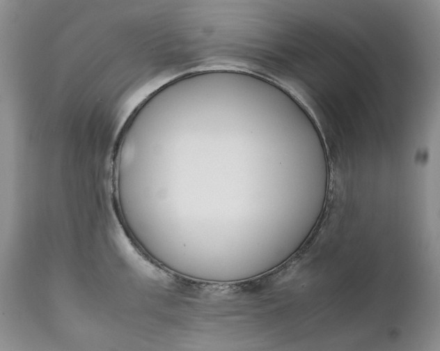 X0000111371003200907241241