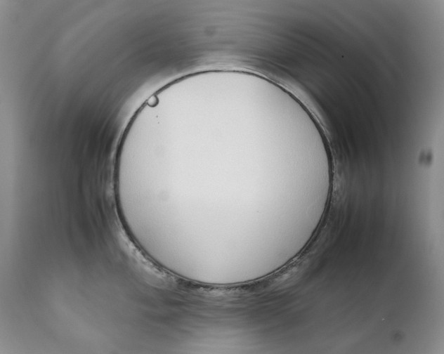 X0000111371004200907241241