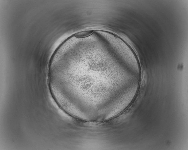 X0000111371005200907241241