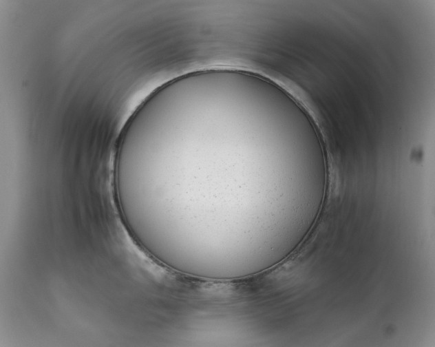 X0000111371006200907241241