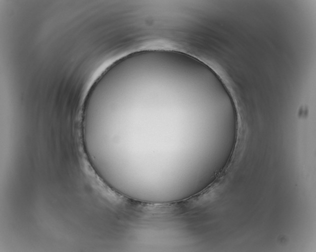 X0000111371008200907241241