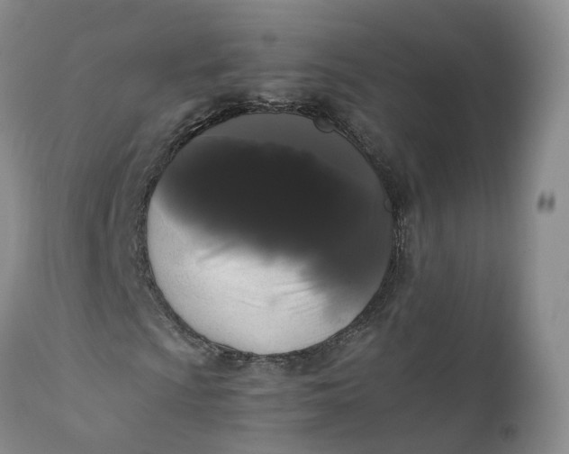 X0000111371009200907241240