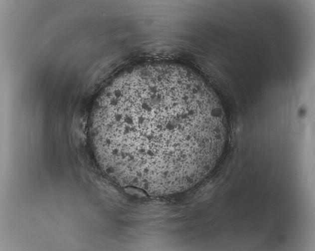 X0000111371010200907241240