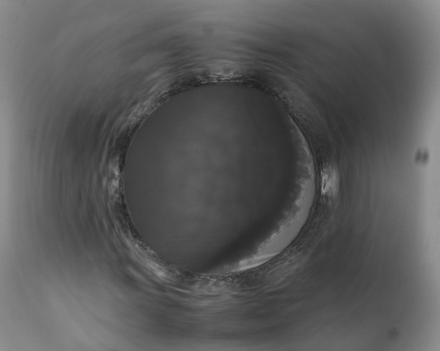 X0000111371011200907241240