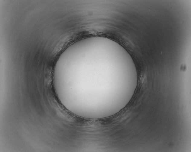 X0000111371012200907241240