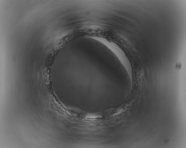 X0000111371013200907241241