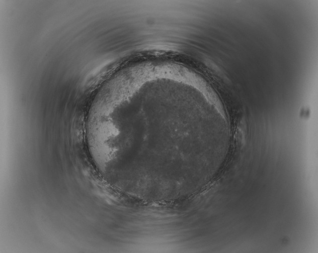 X0000111371014200907241241